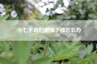 小七手游的游戏下线怎么办