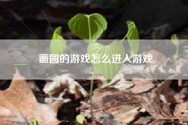 画圆的游戏怎么进入游戏