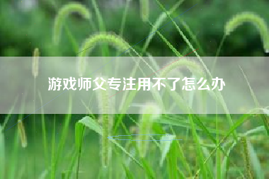 游戏师父专注用不了怎么办