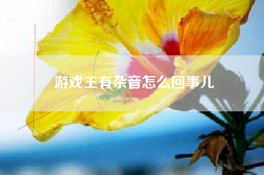 游戏王有杂音怎么回事儿