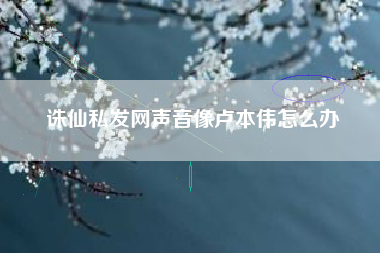 诛仙私发网声音像卢本伟怎么办