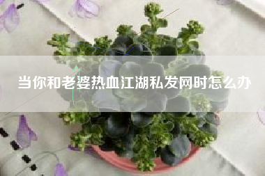 当你和老婆热血江湖私发网时怎么办