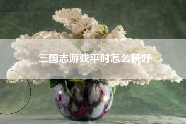 三国志游戏平时怎么玩好