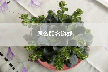 怎么联名游戏