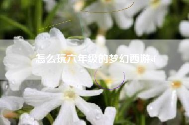 怎么玩六年级的梦幻西游sf