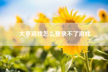 大亨游戏怎么登录不了游戏