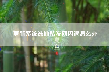 更新系统诛仙私发网闪退怎么办