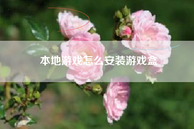 本地游戏怎么安装游戏盒