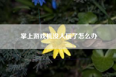掌上游戏机没人玩了怎么办