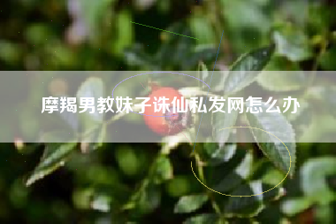 摩羯男教妹子诛仙私发网怎么办