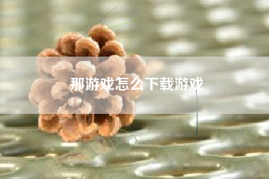 那游戏怎么下载游戏  第1张