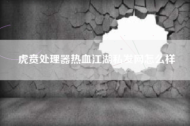 虎贲处理器热血江湖私发网怎么样