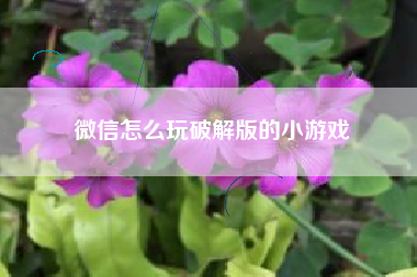 微信怎么玩破解版的小游戏