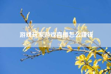 游戏玩家游戏直播怎么赚钱