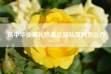 高中毕业典礼热血江湖私发网怎么办