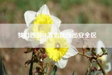 梦幻西游SF怎么能跑出安全区