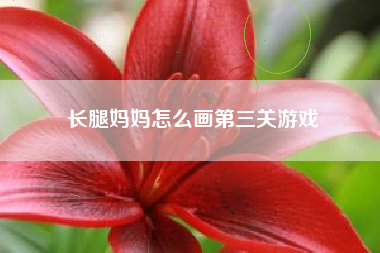 长腿妈妈怎么画第三关游戏