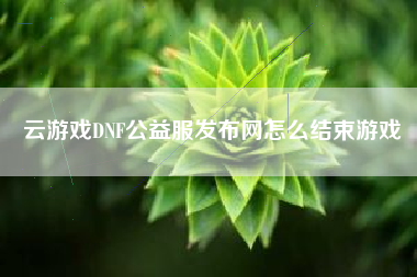云游戏DNF公益服发布网怎么结束游戏