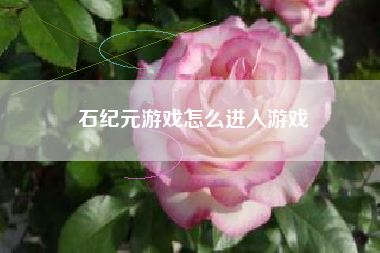 石纪元游戏怎么进入游戏  第1张