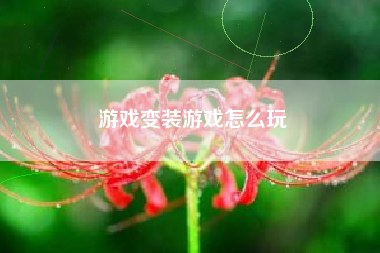 游戏变装游戏怎么玩  第1张