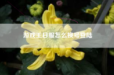 游戏王日服怎么换号登陆