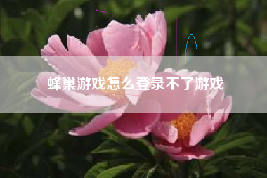 蜂巢游戏怎么登录不了游戏