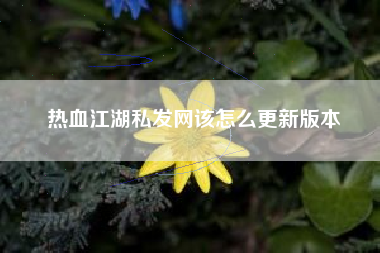 热血江湖私发网该怎么更新版本