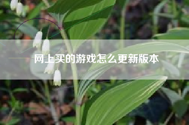 网上买的游戏怎么更新版本