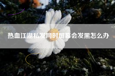 热血江湖私发网时屏幕会发黑怎么办