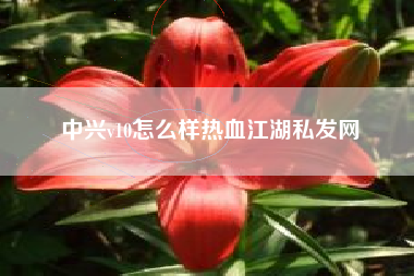 中兴v10怎么样热血江湖私发网