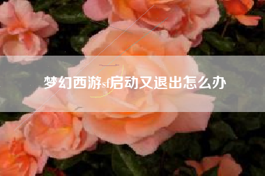 梦幻西游sf启动又退出怎么办