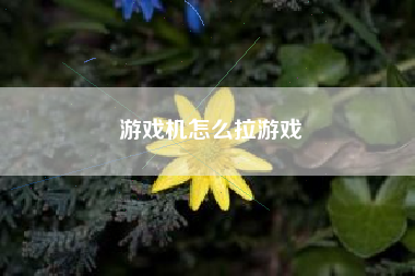 游戏机怎么拉游戏