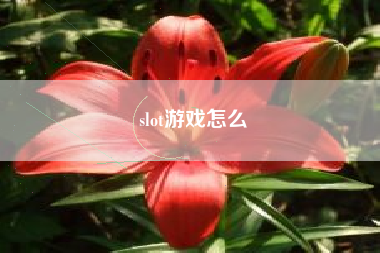 slot游戏怎么