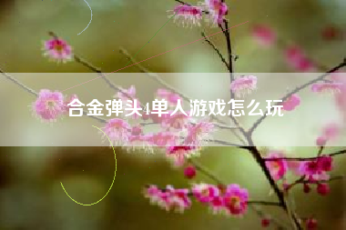 合金弹头4单人游戏怎么玩