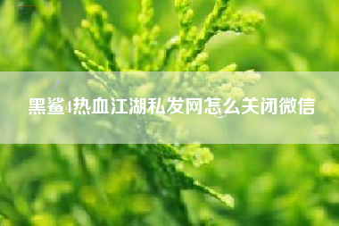 黑鲨4热血江湖私发网怎么关闭微信