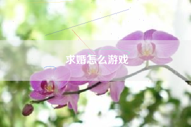 求婚怎么游戏