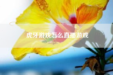 虎牙游戏怎么直播游戏