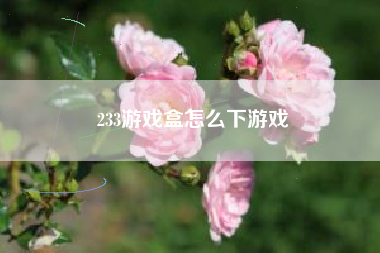 233游戏盒怎么下游戏