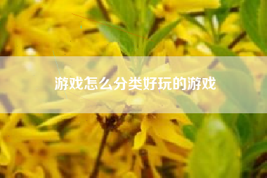 游戏怎么分类好玩的游戏