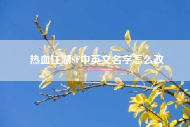 热血江湖SF中英文名字怎么改