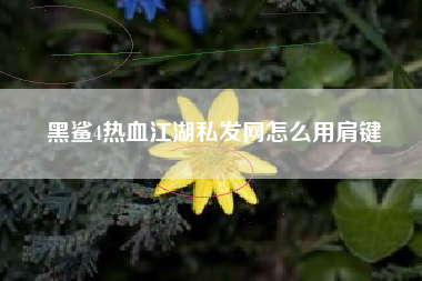 黑鲨4热血江湖私发网怎么用肩键