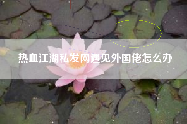 热血江湖私发网遇见外国佬怎么办