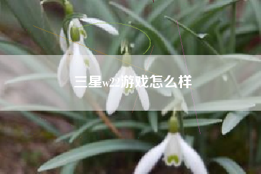 三星w22游戏怎么样