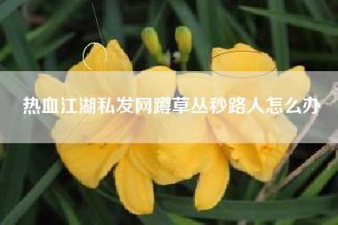 热血江湖私发网蹲草丛秒路人怎么办