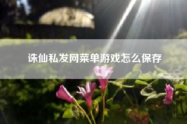 诛仙私发网菜单游戏怎么保存