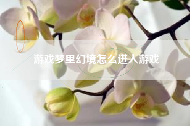 游戏梦里幻境怎么进入游戏