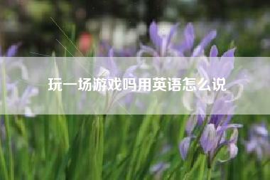 玩一场游戏吗用英语怎么说