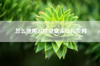 怎么使用游戏键盘诛仙私发网