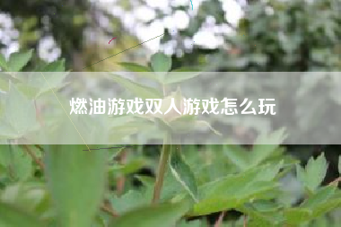 燃油游戏双人游戏怎么玩