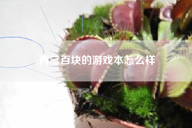 两三百块的游戏本怎么样